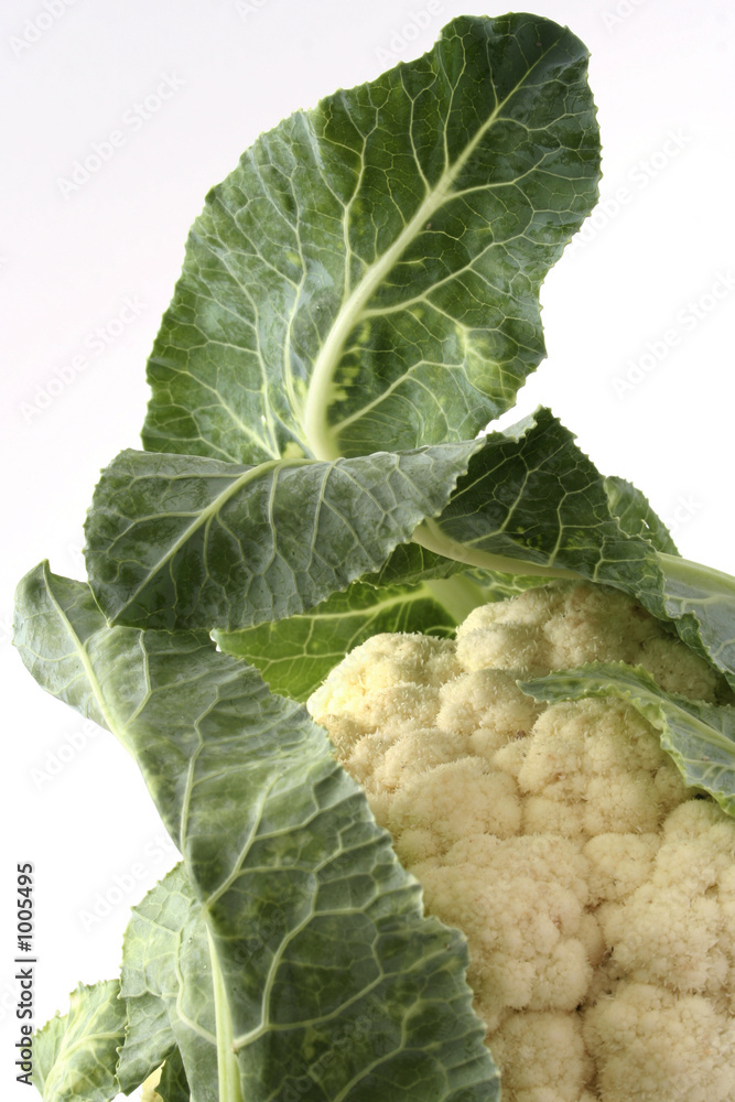 cauliflower with leaf