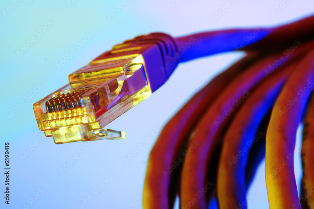 network cable