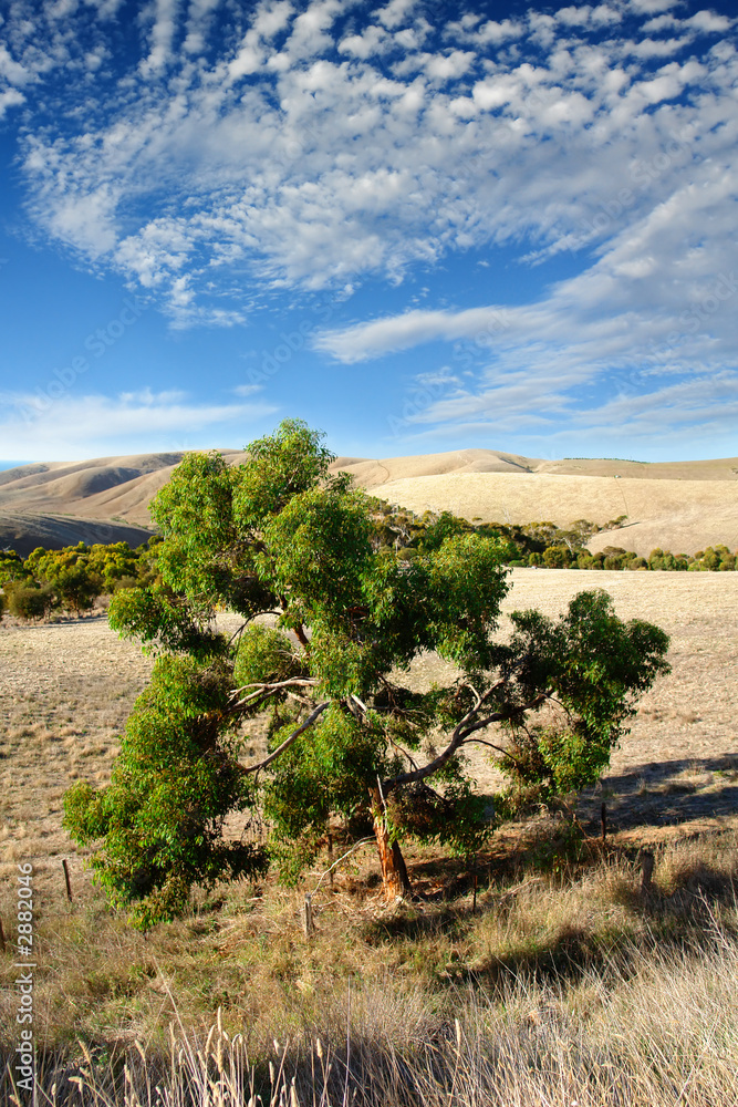 australian landscape