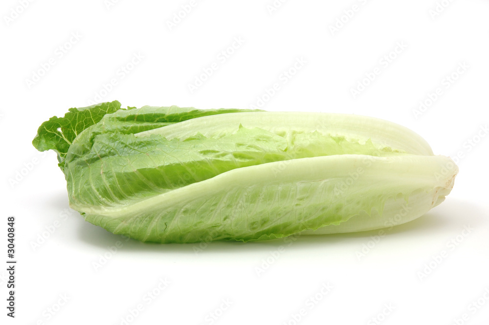 romaine lettuce