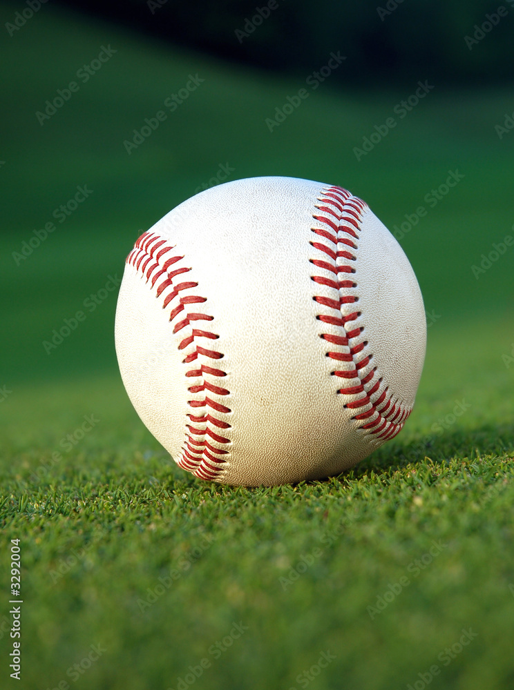 baseball on the field