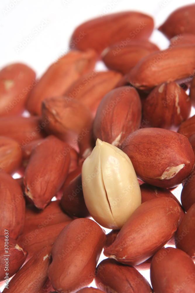 Peanut set isolated on white background detail