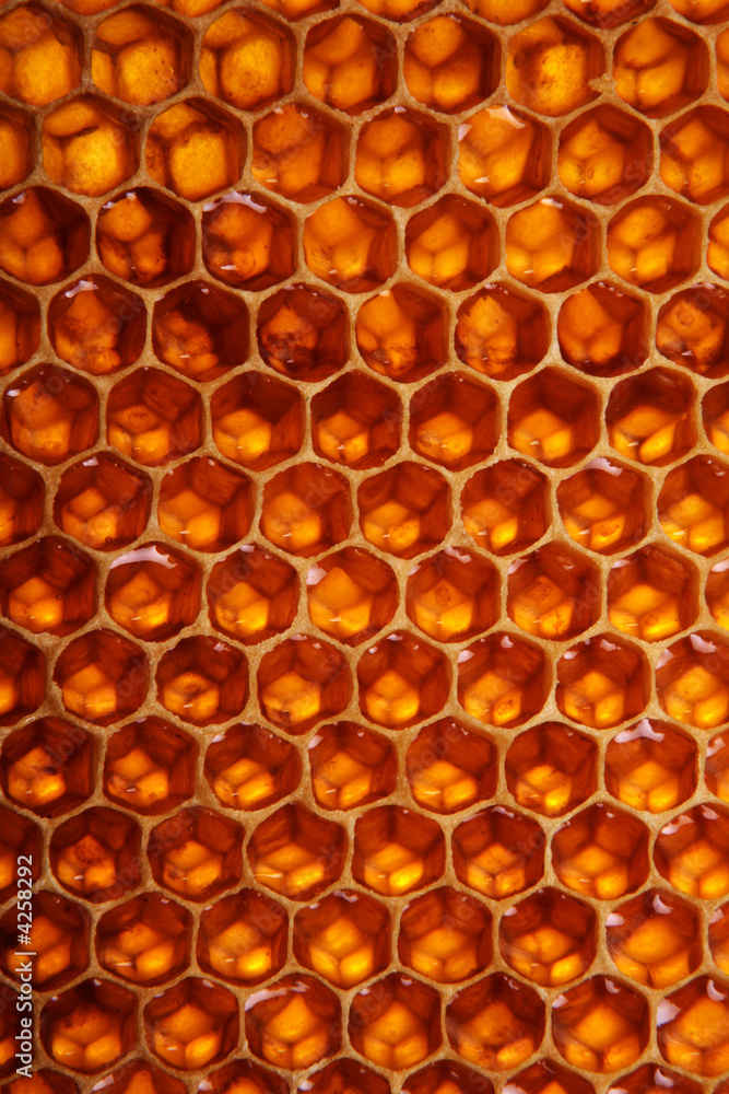 Honeycomb background