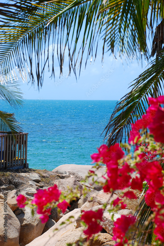 夏日海滩景观