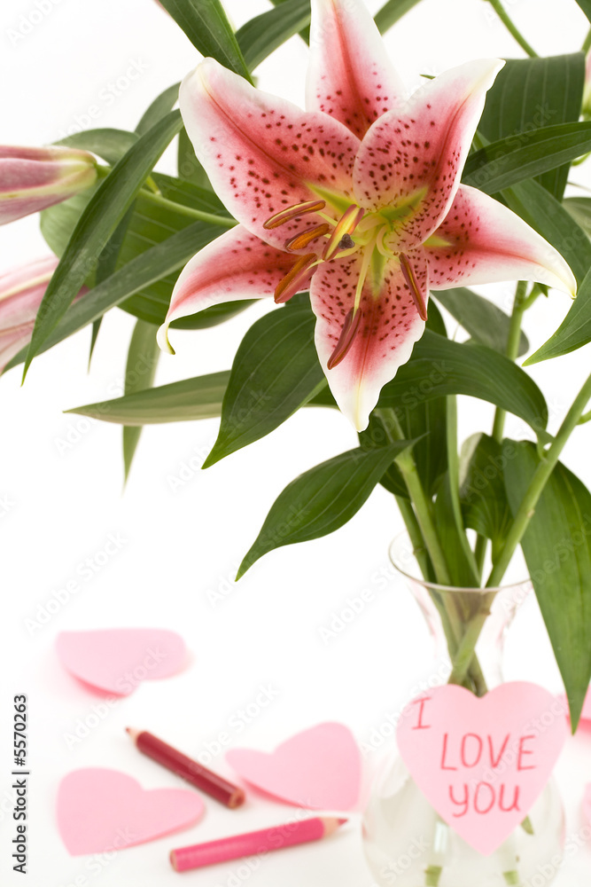 Pink lily and paper hearts on white background