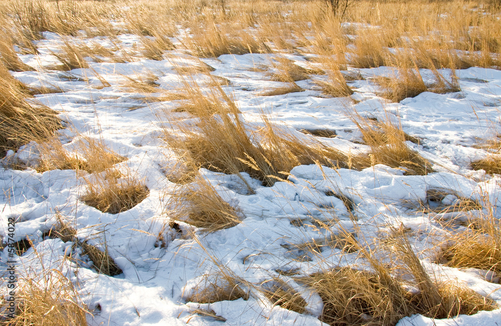 Rural field with snow. Winter landscape.