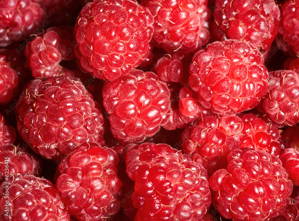 Background of ripe colorful raspberry