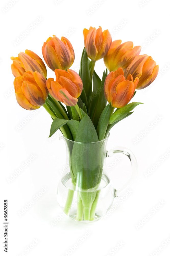 vase of tulips