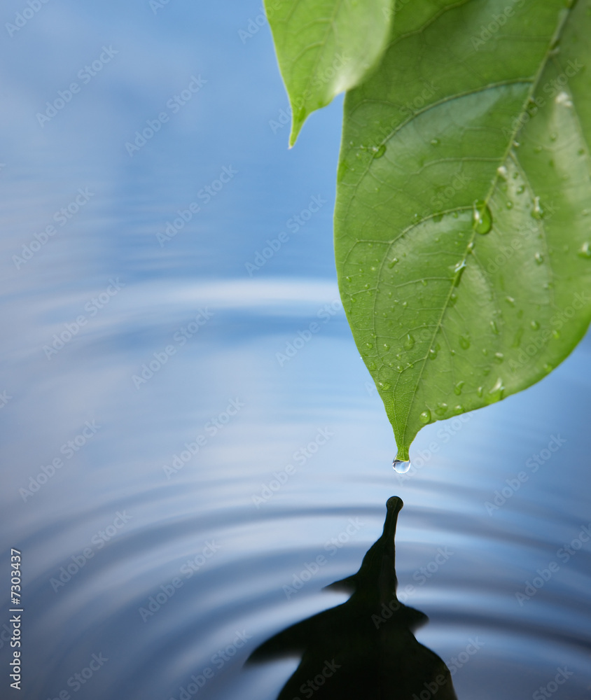 水滴