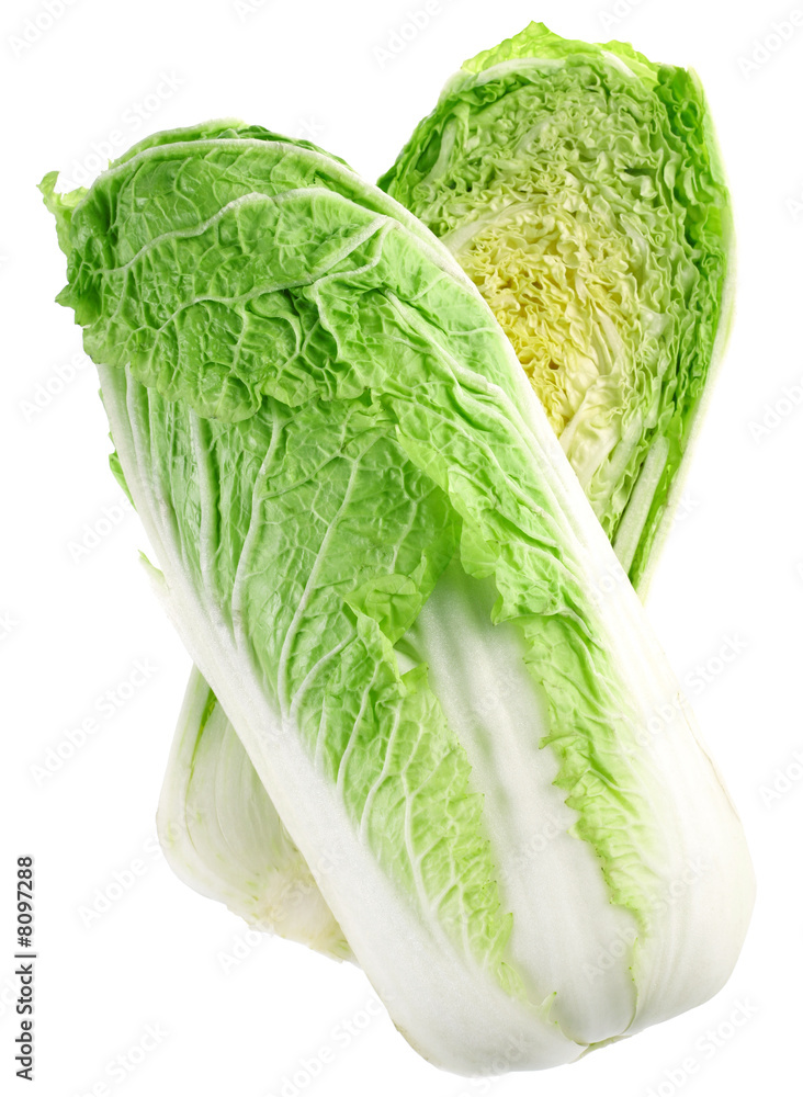 Cabbage chinese