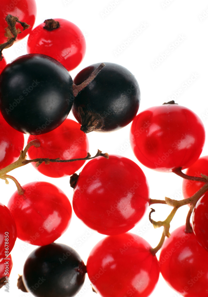 Currant berry