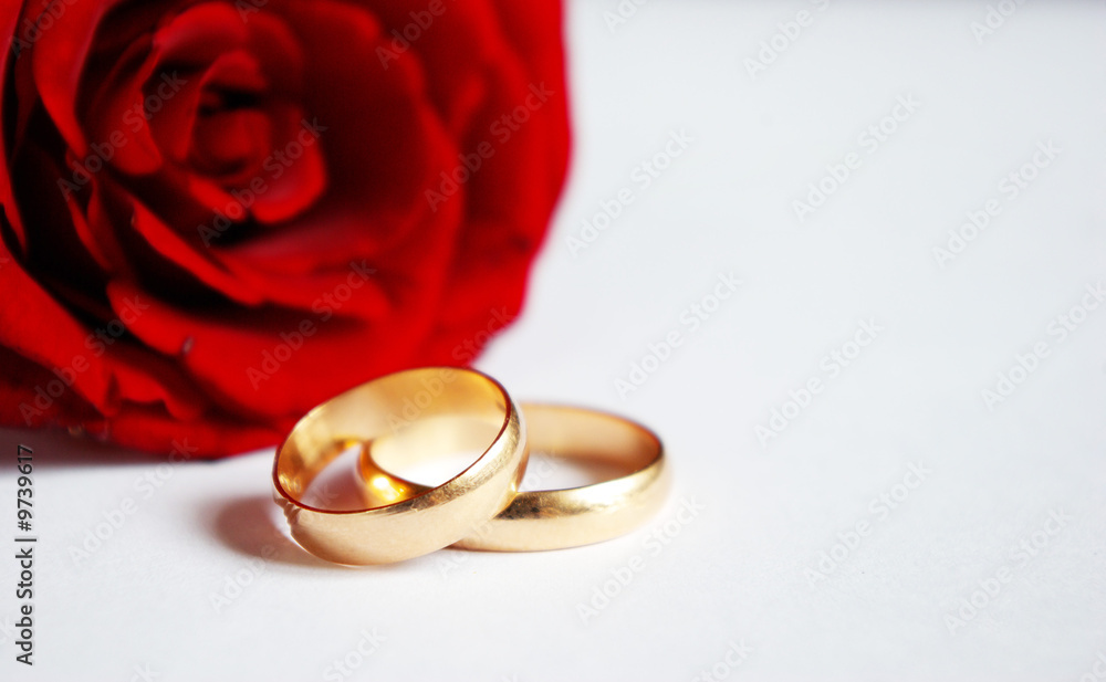 rose and wedding rings