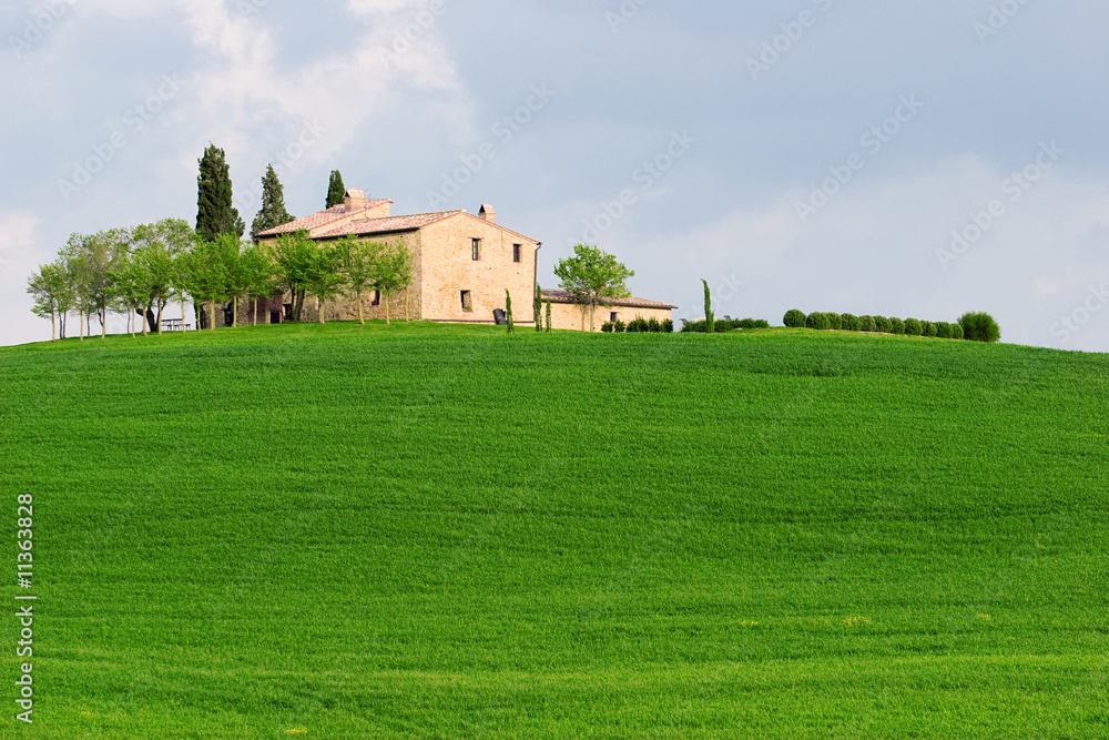 green nature