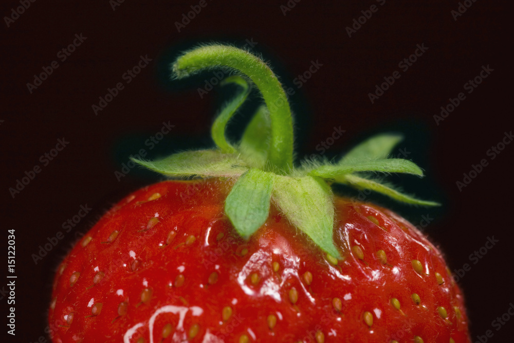 strawberry macro