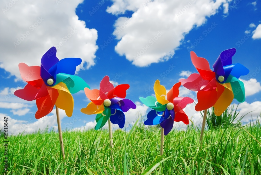 pinwheel on the meadow at sunny day