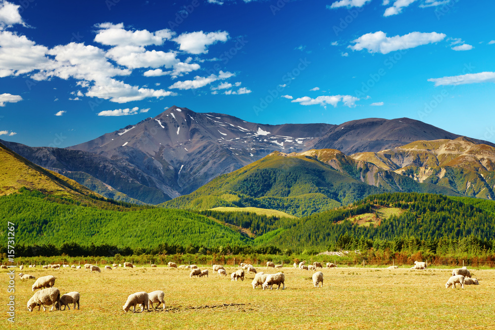 新西兰山地景观