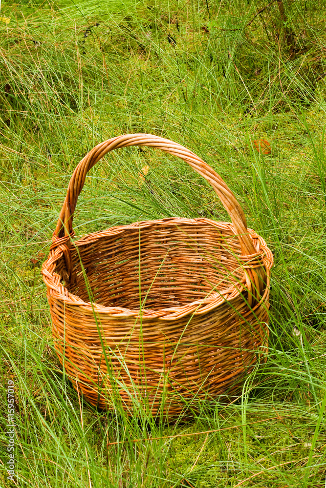 woven basket in the grass