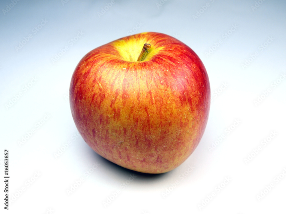 Red apple on white background