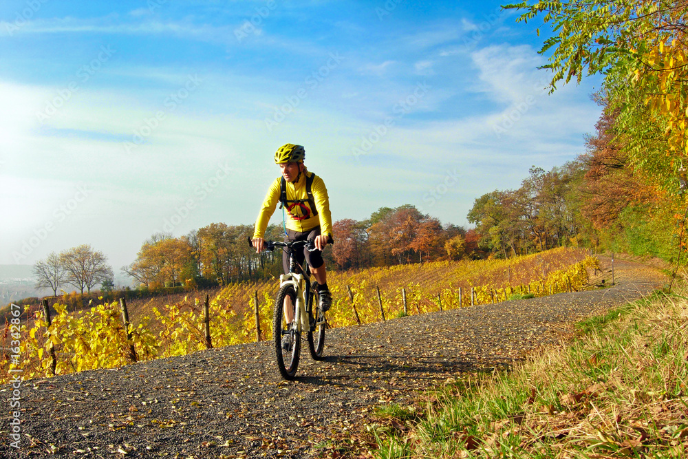 Herbst im Siebengebirge