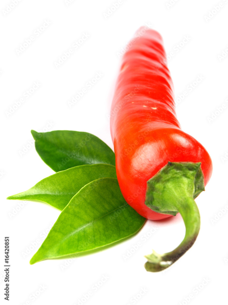 Red paprika on white background