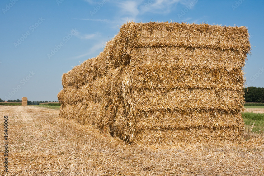 Haystack in the Netherlands