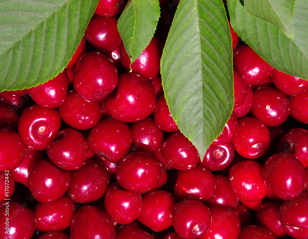 background  cherries