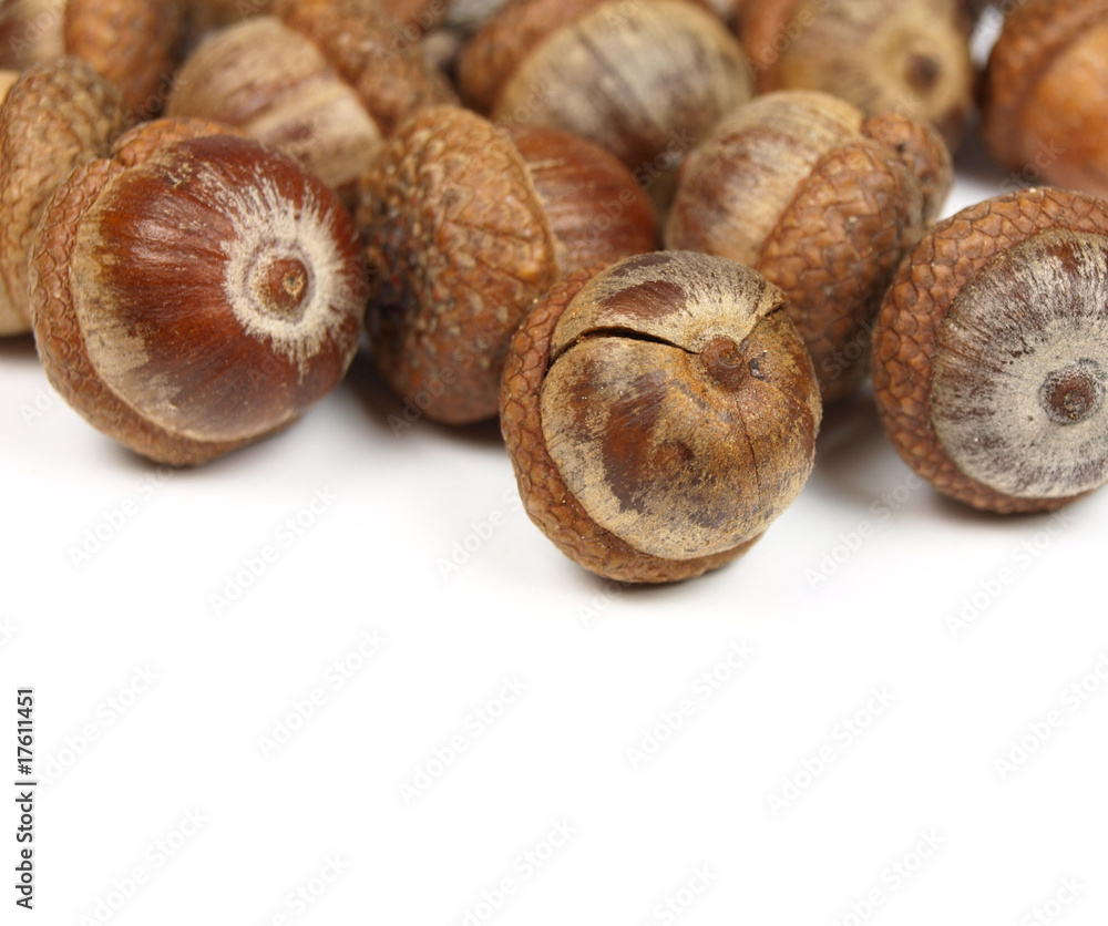 Acorns background