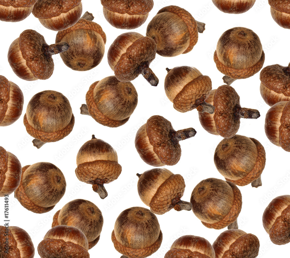 Acorns background