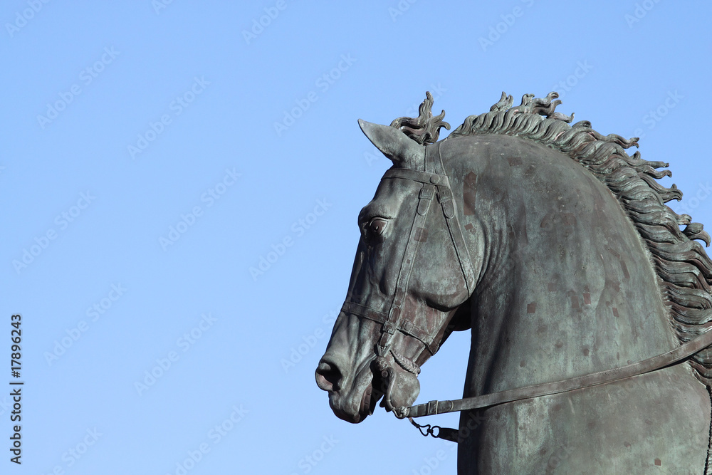 la tête du cheval