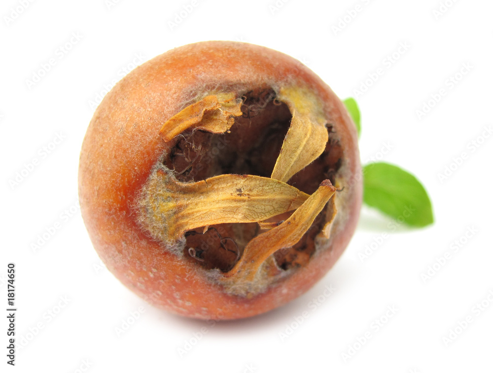 Medlar fruit