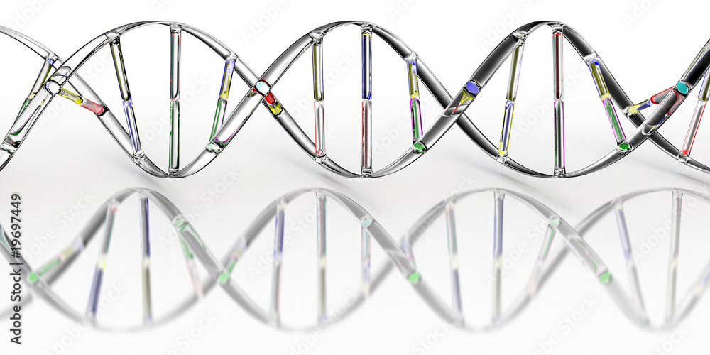 DNA