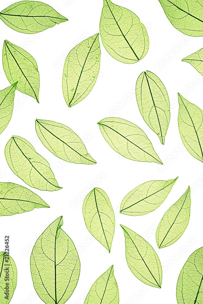 green leaves