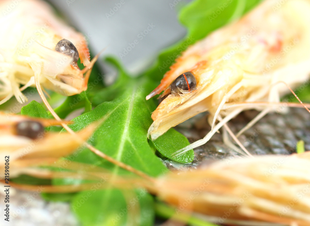 Macro shot of prawns