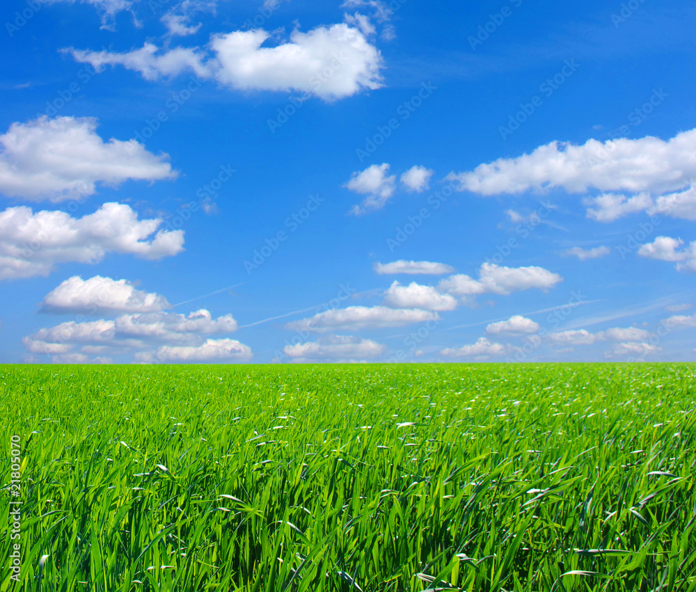 field and clouds