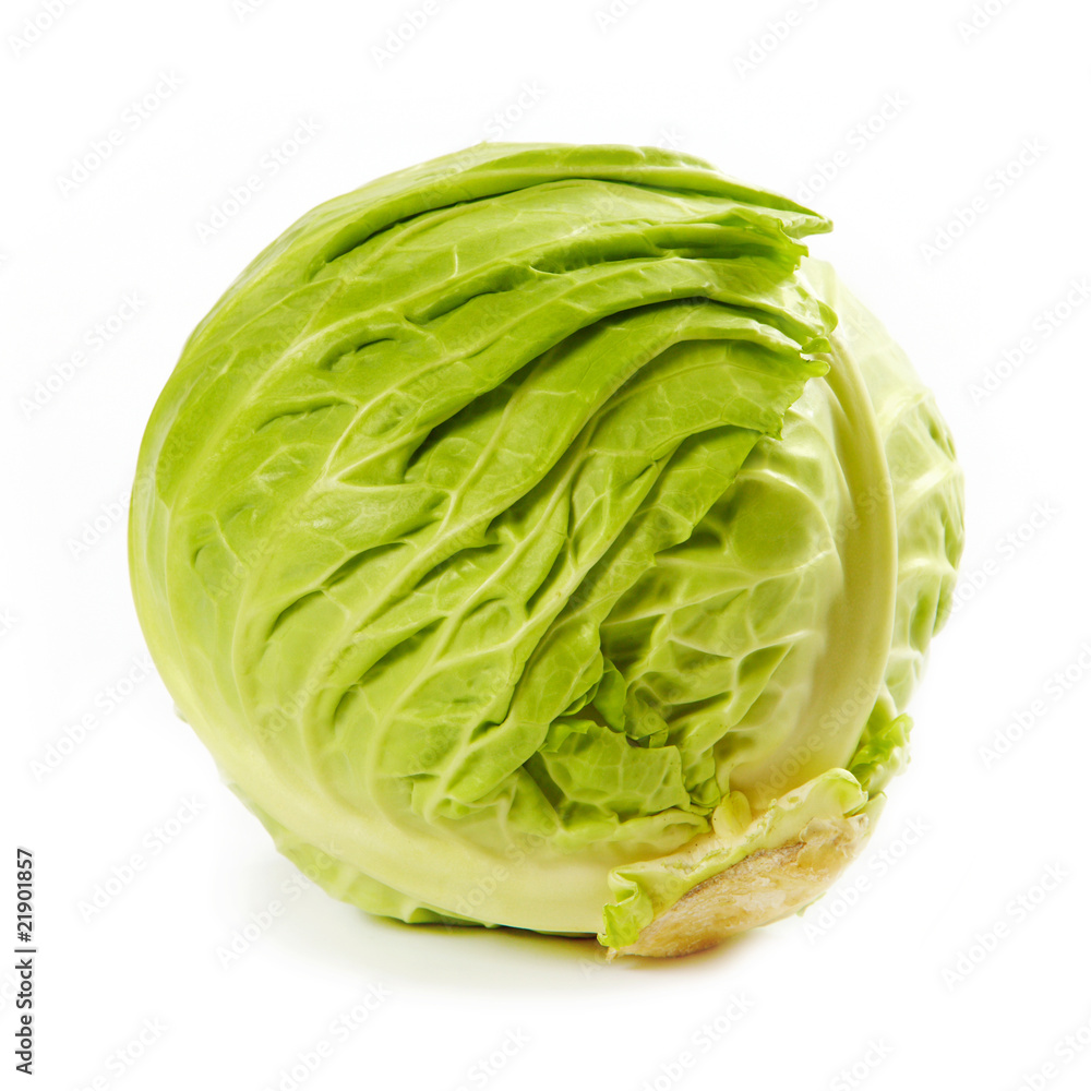 cabbage