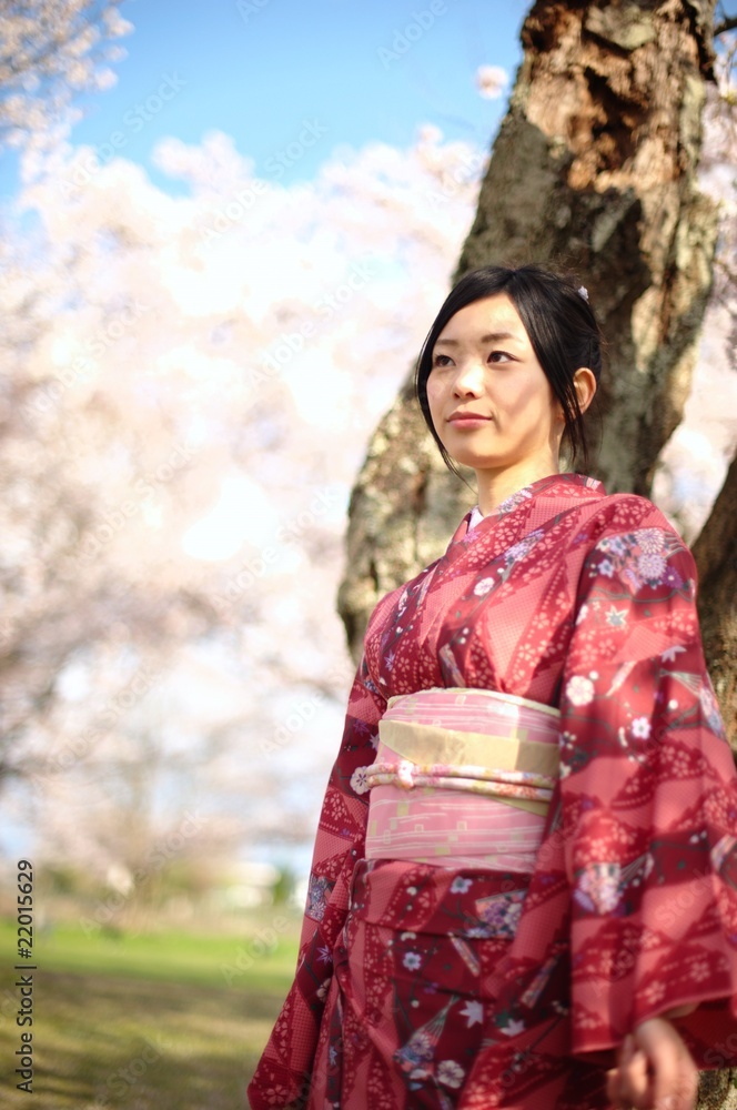 桜　着物　日本　