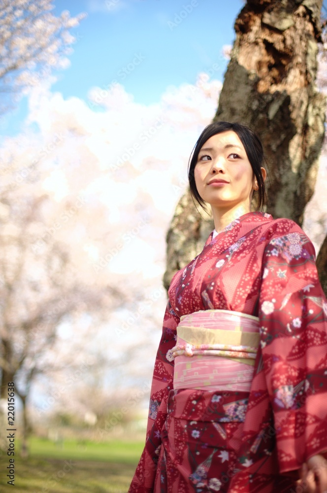 桜　着物　日本　