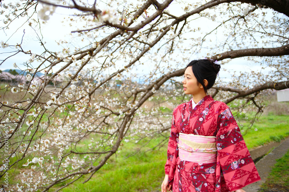 桜　着物　日本　