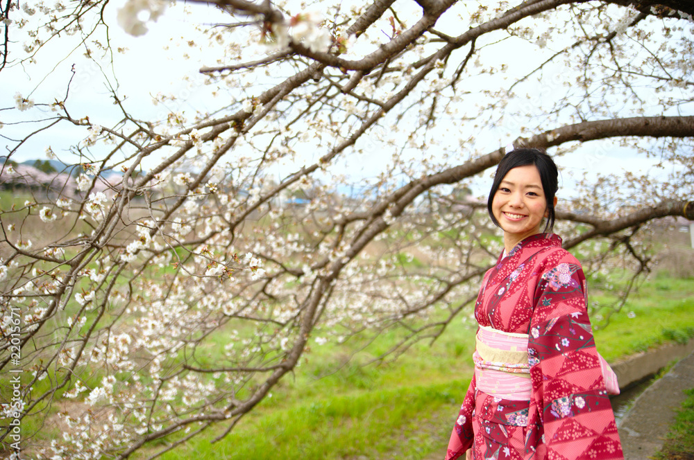 桜　着物　日本　