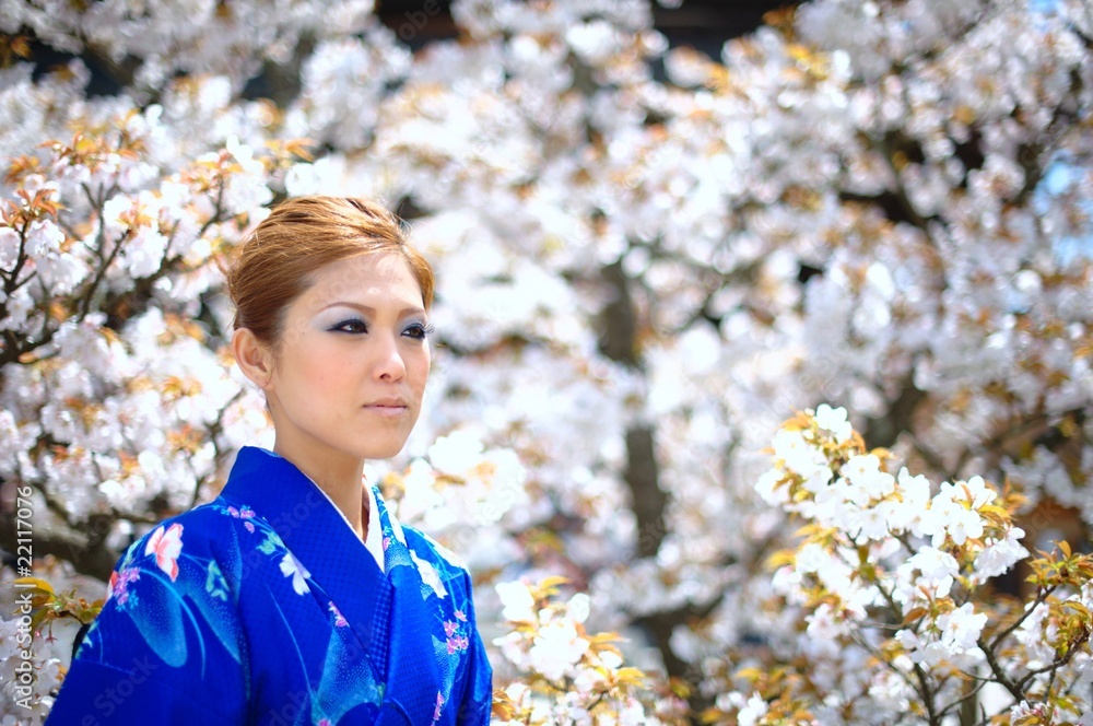 桜　着物　日本　女性