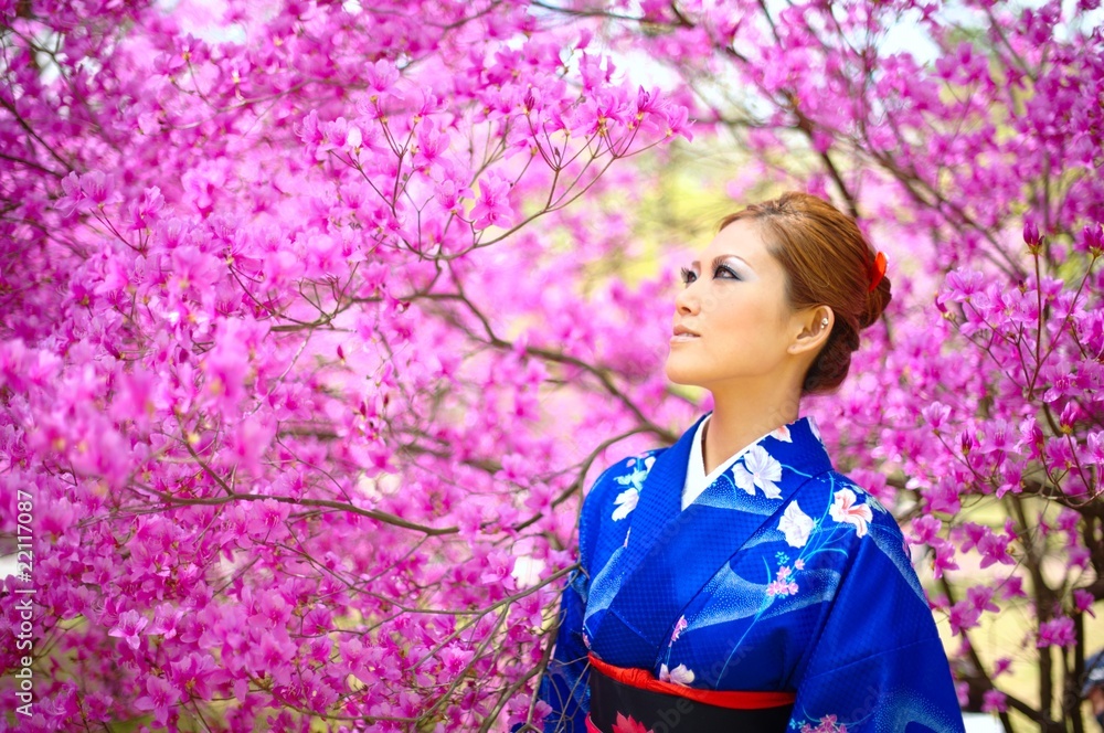 桜　着物　日本　女性