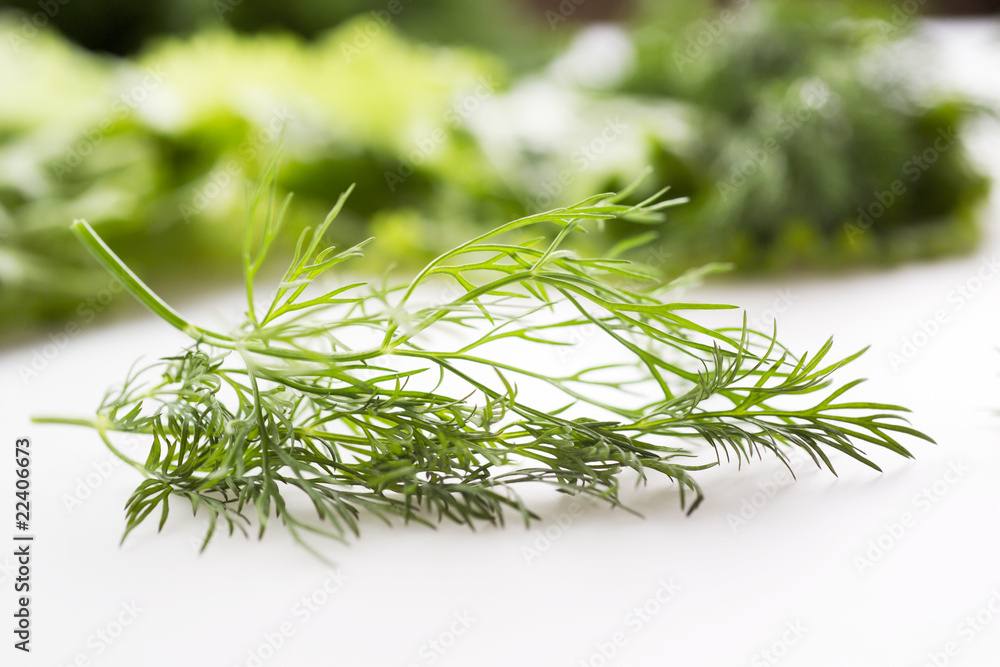 Fresh dill