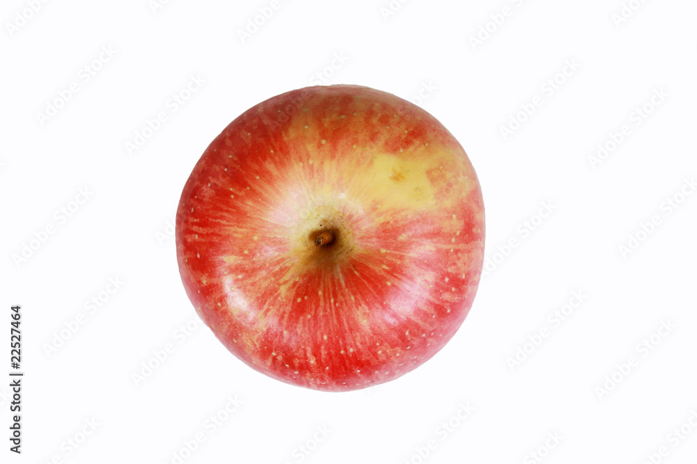 Red apple isolated on a white background ..