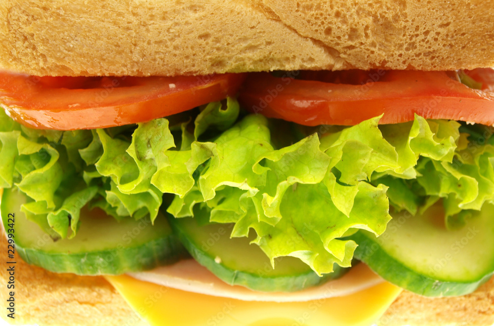 Delicious sandwich isolated on white background