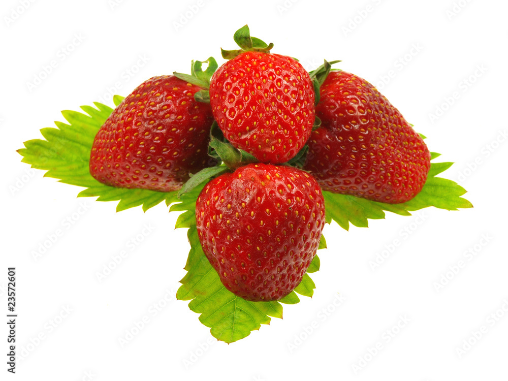 Strawberries on white background