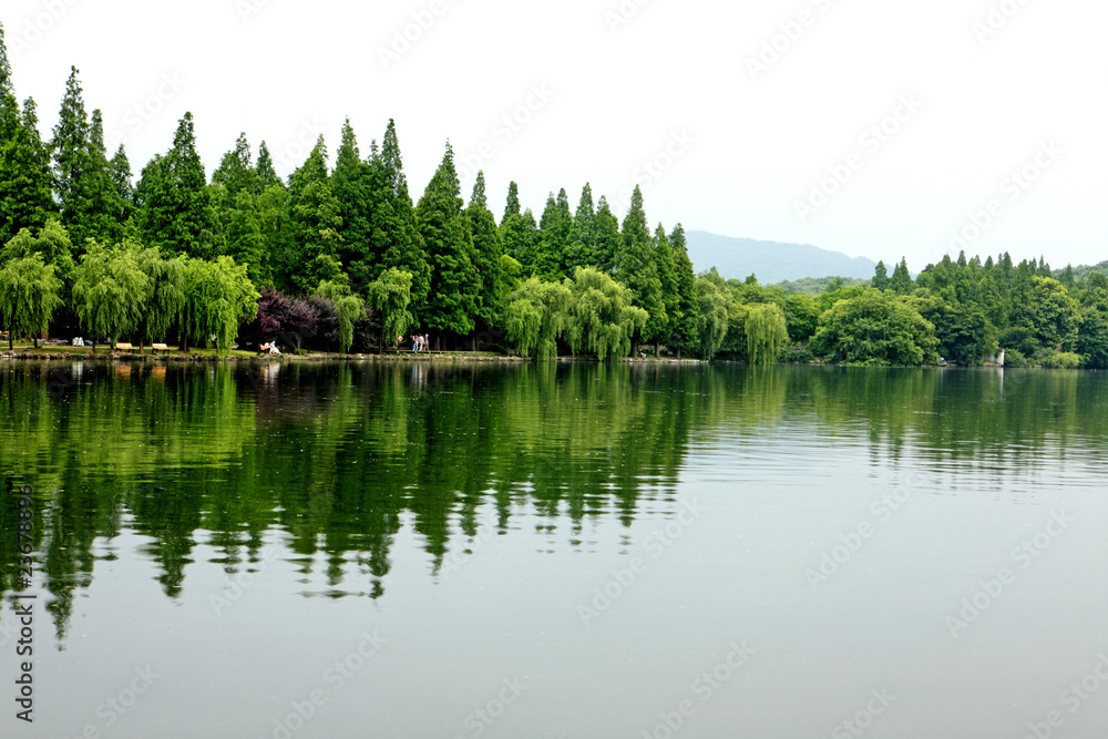 水中倒影的绿树和河流。