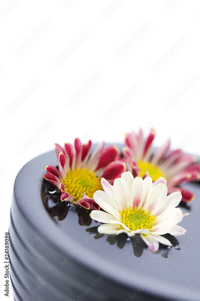 bowl of water and flowers-SPA concept