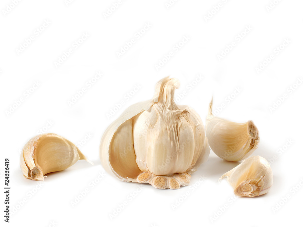 garlic