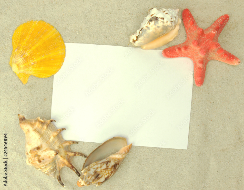 Beach concept with blank photo ond shells