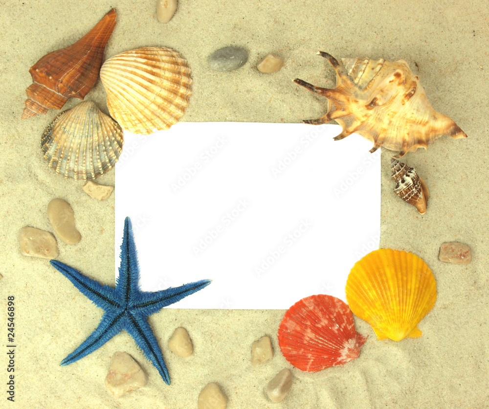 Beach concept with blank photo ond shells